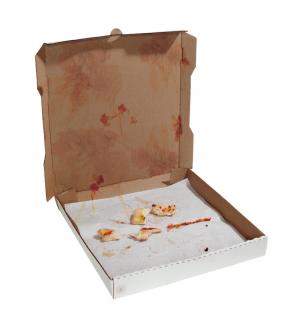 compost pizza box jpg